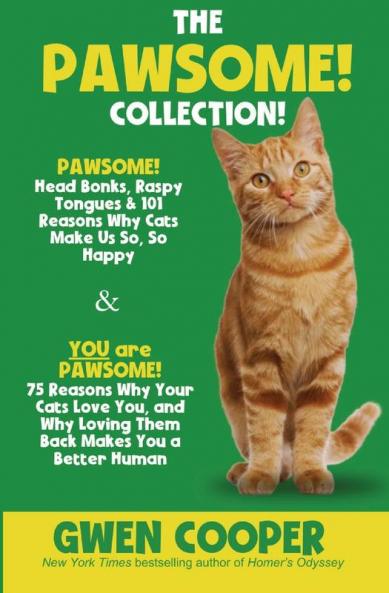 The PAWSOME! Collection