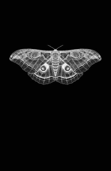 All The Words I Dare Not Speak