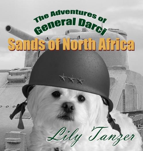 The Adventures of General Darci