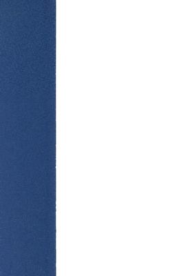 Lives of the Sleepers