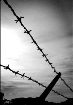 Four Nights in Brooklyn