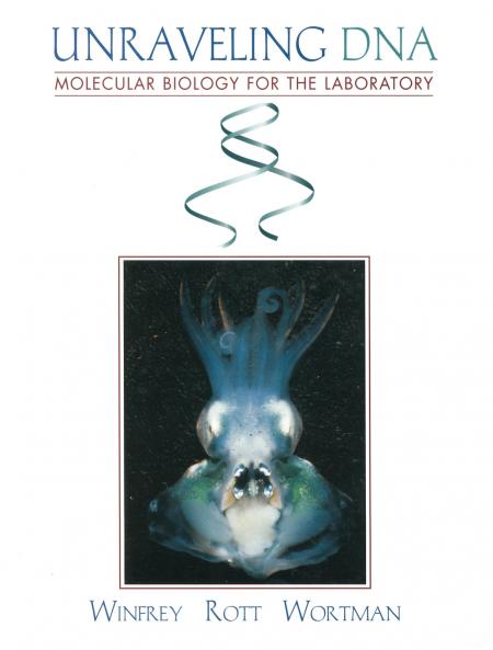 Unraveling DNA