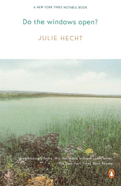 Do the Windows Open?