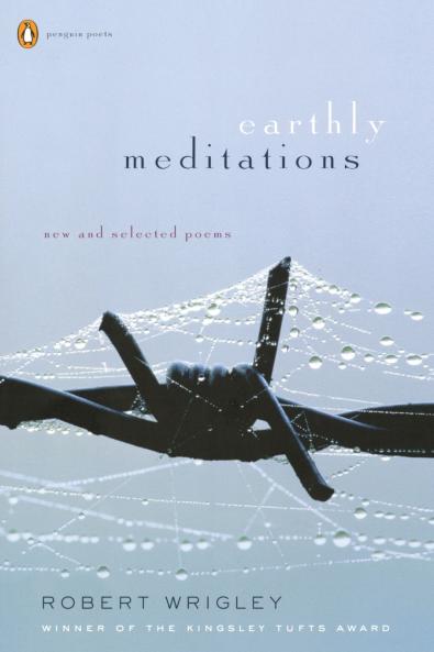 Earthly Meditations