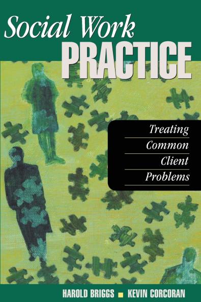Social Work Practice