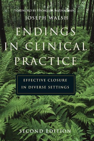 Endings in Clinical Practice Second Edition