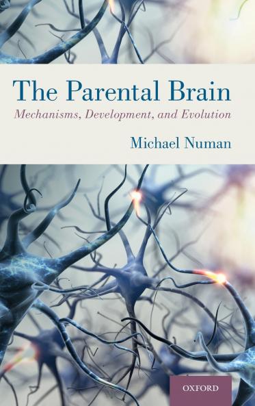 Parental Brain