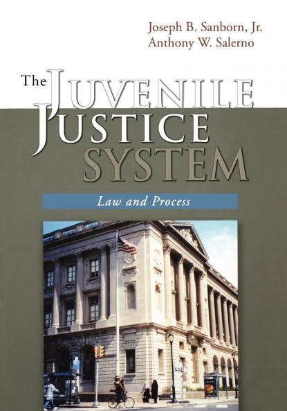 The Juvenile Justice System