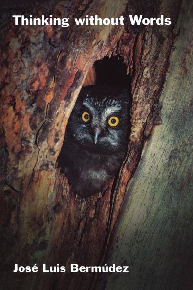 Thinking Without Words