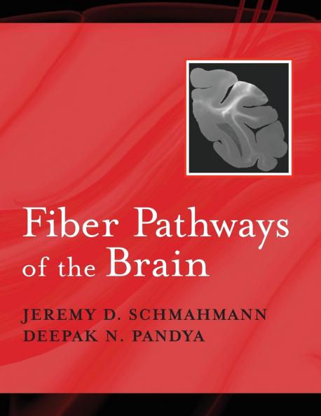 Fiber Pathways of the Brain