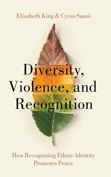 Diversity Violence and Recognition