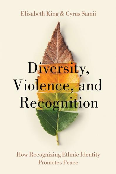 Diversity Violence and Recognition