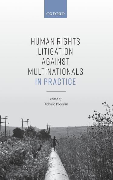 Human Rights Litigation Against Multinationals in Practice