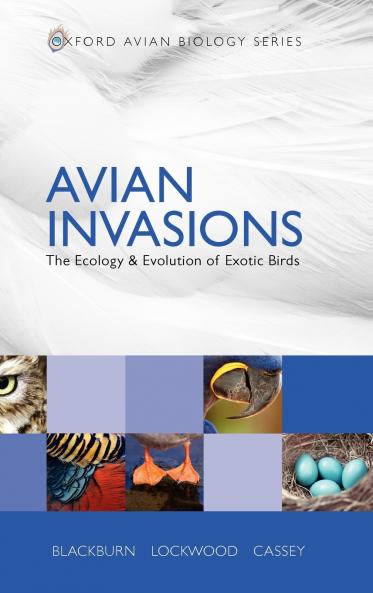 Avian Invasions
