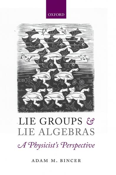 Lie Groups and Lie Algebras - A Physicist's Perspective