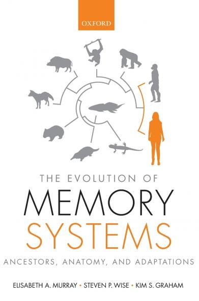 The Evolution of Memory Systems