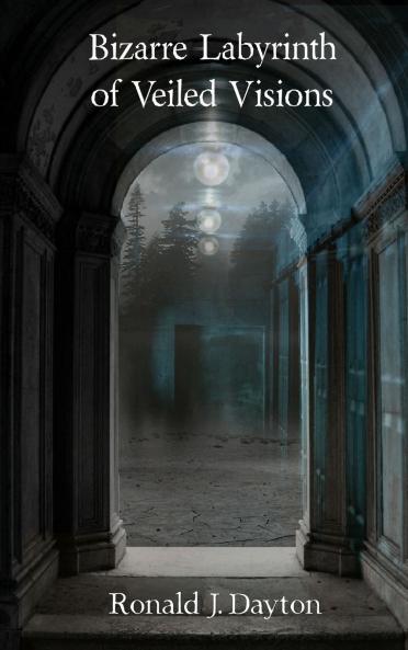 Bizarre Labyrinth of Veiled Visions