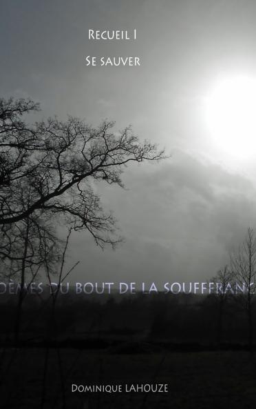 Poèmes du bout de la souffrance - Recueil I