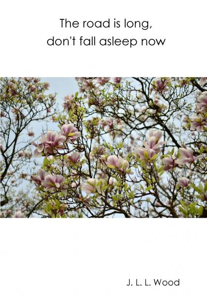 The road is long don't fall asleep now