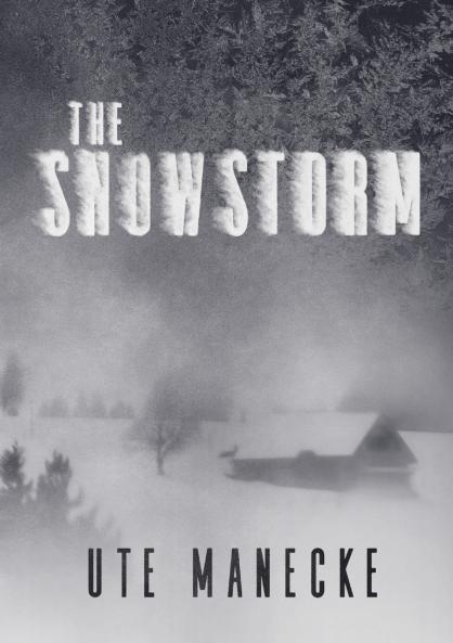 The Snowstorm