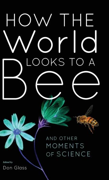 How the World Looks to a Bee