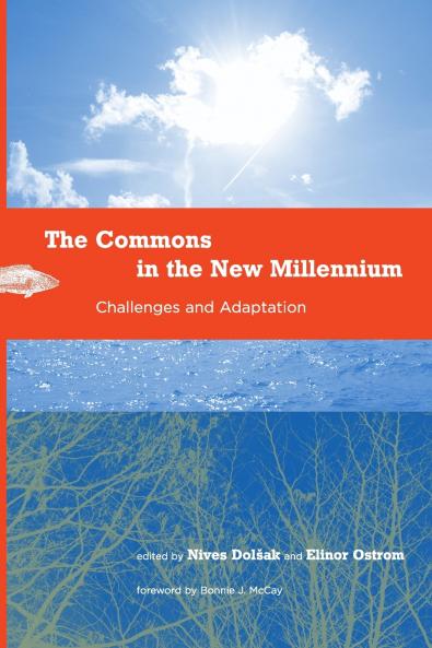Commons in the New Millennium