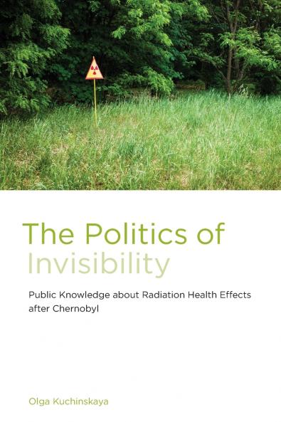 Politics of Invisibility