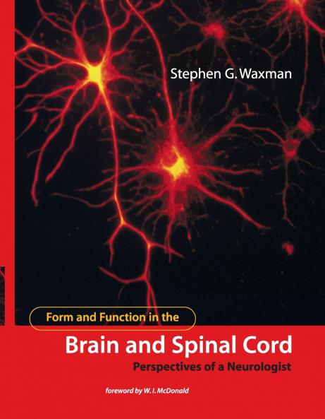 Form and Function in the Brain and Spinal Cord