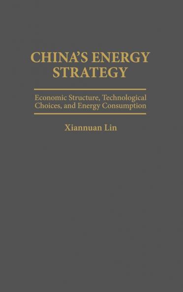 China's Energy Strategy