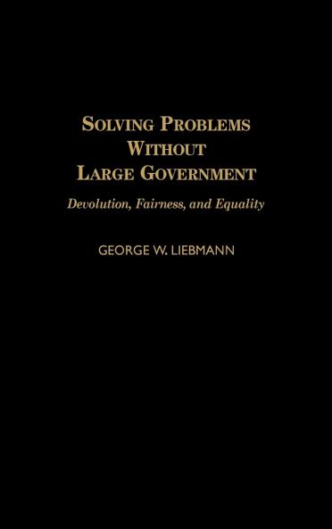 Solving Problems Without Large Government