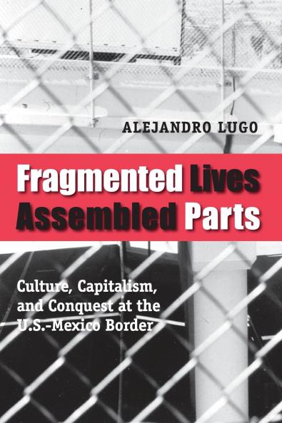 Fragmented Lives Assembled Parts