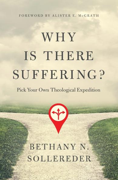 The Why Is There Suffering?