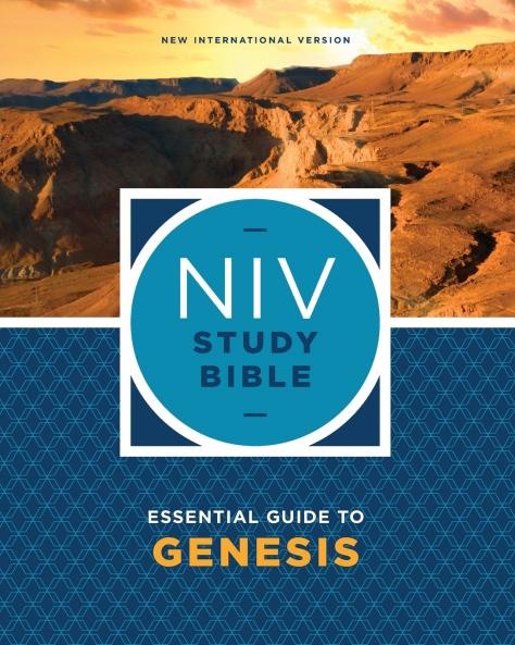 NIV Study Bible Essential Guide to Genesis Paperback Red Letter Comfort Print