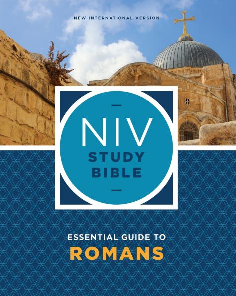 NIV Study Bible Essential Guide to Romans Paperback Red Letter Comfort Print