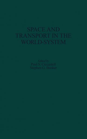 Space and Transport in the World-System
