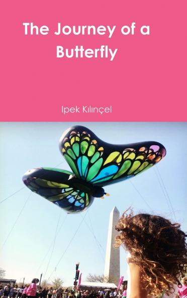 The Journey of a Butterfly