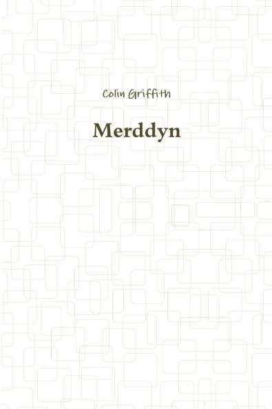 Merddyn
