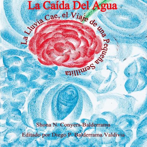 La Caída Del Agua  La Lluvia Cae el Viaje de una Pequeña Semillita