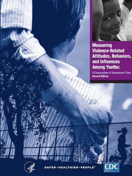 Measuring Violence-Related Attitudes Behaviors and Influences Among Youths