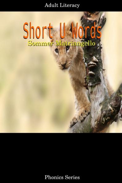 Short U Words