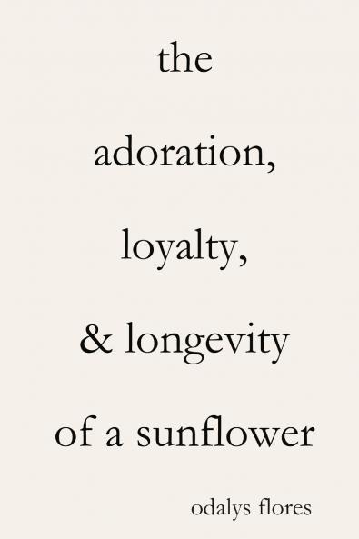 The Adoration Loyalty & Longevity of a Sunflower