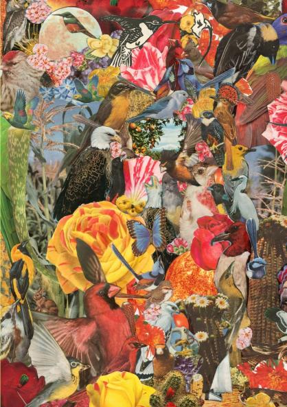 Golden Hummingbird Garden