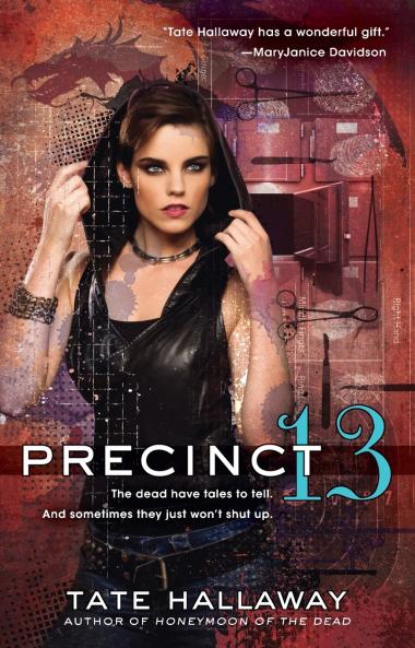 Precinct 13