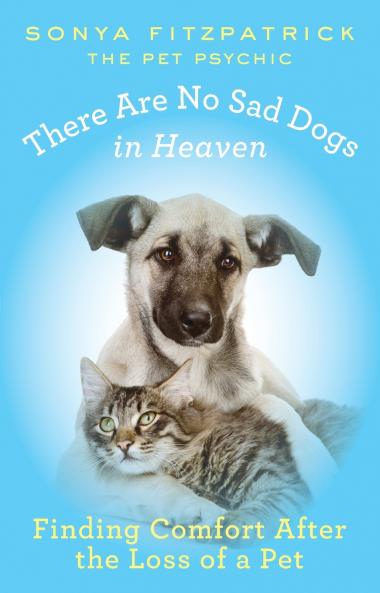 There Are No Sad Dogs in Heaven