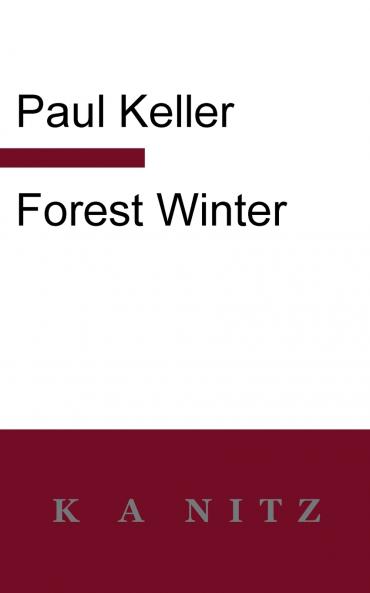 Forest Winter