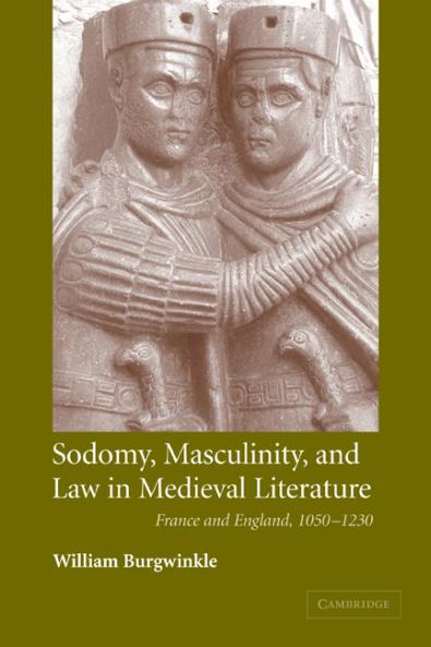 Sodomy Masculinity and Law in Medieval Literature