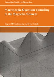 Macroscopic Quantum Tunneling of the Magnetic             Moment