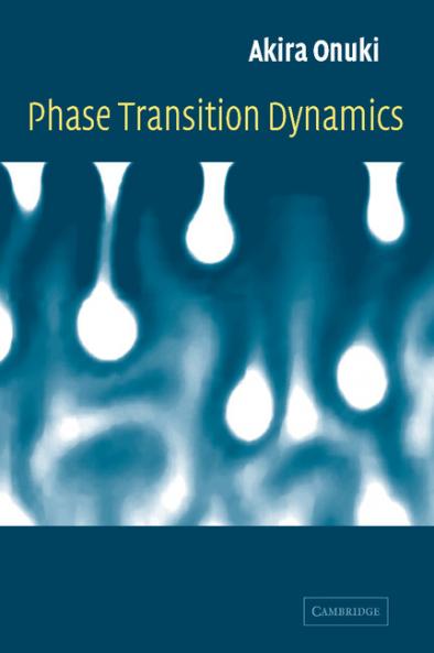 Phase Transition Dynamics