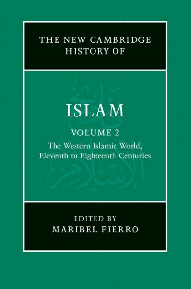 The New Cambridge History of Islam