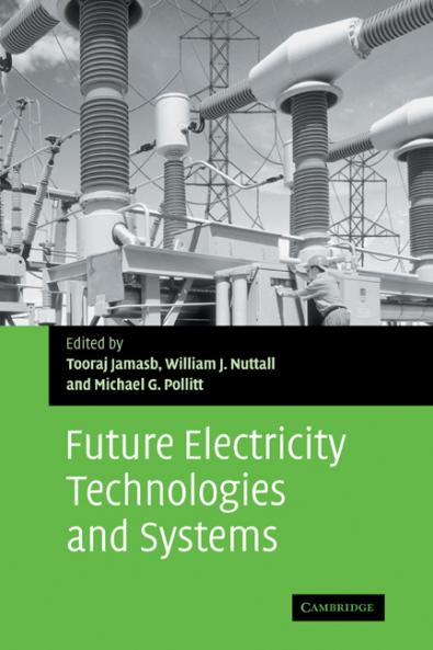 Future Electricity Technologies and Systems